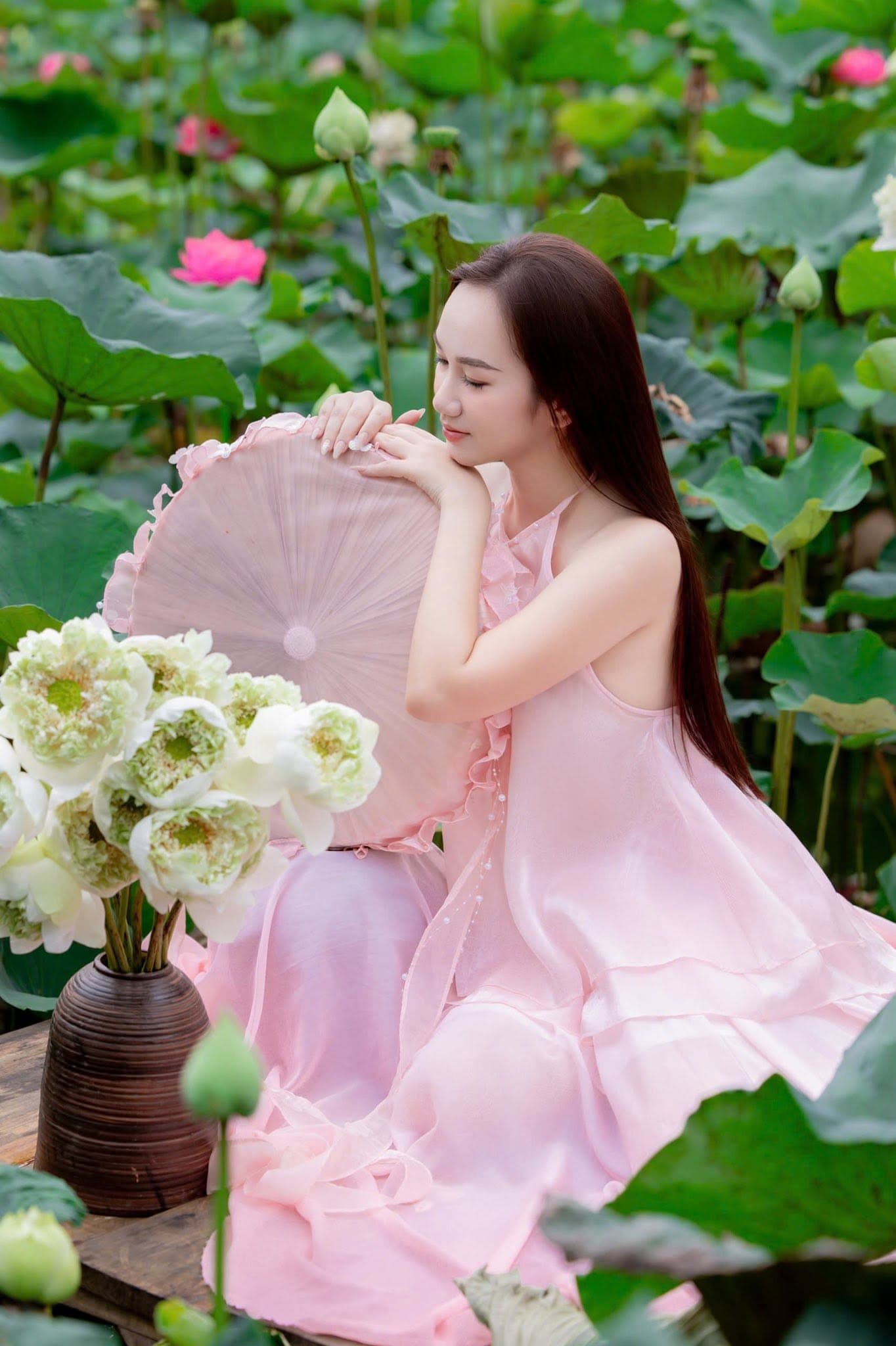 Whispers of the Lotus